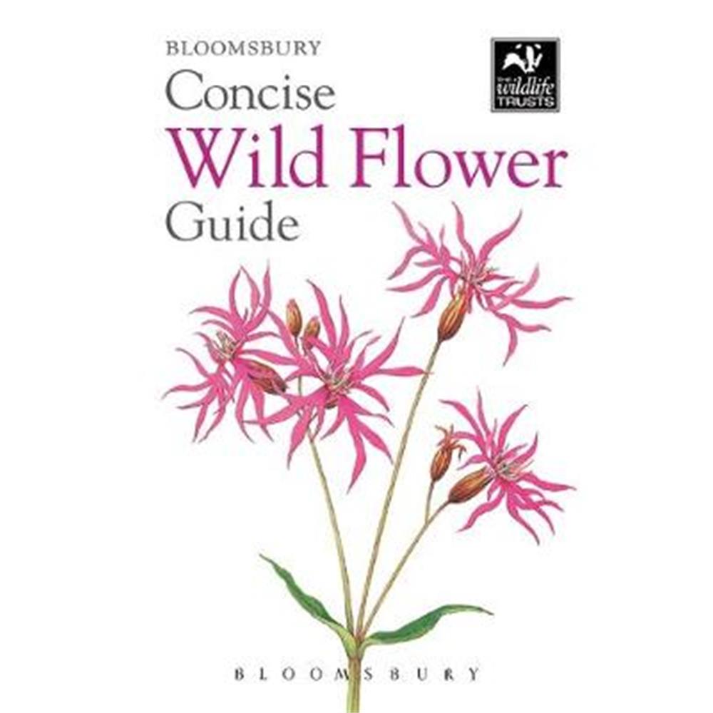 Concise Wild Flower Guide (Paperback) - Bloomsbury